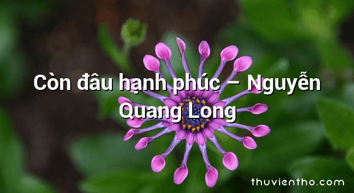 Còn đâu hạnh phúc – Nguyễn Quang Long