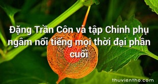 Đặng Trần Côn và tập Chinh phụ ngâm nổi tiếng mọi thời đại phần cuối﻿