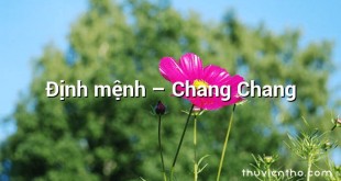 Định mệnh – Chang Chang