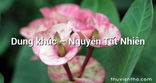Dung khúc – Nguyễn Tất Nhiên