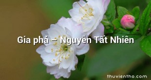 Gia phả – Nguyễn Tất Nhiên