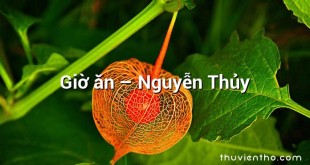 Giờ ăn – Nguyễn Thủy