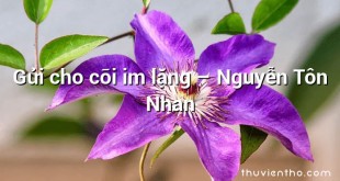 Gửi cho cõi im lặng  –  Nguyễn Tôn Nhan