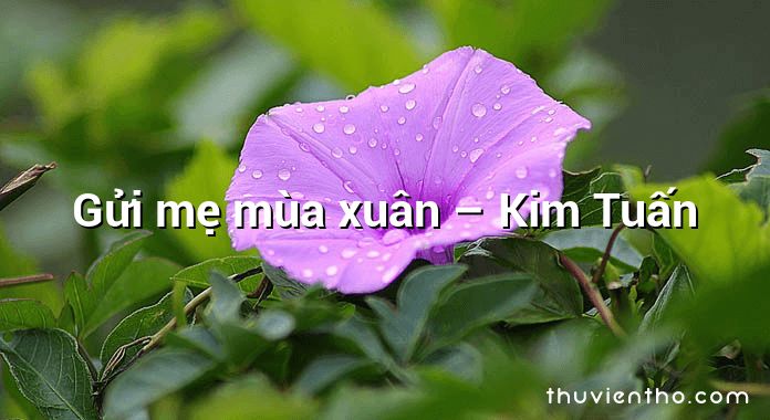 Gửi mẹ mùa xuân  –  Kim Tuấn