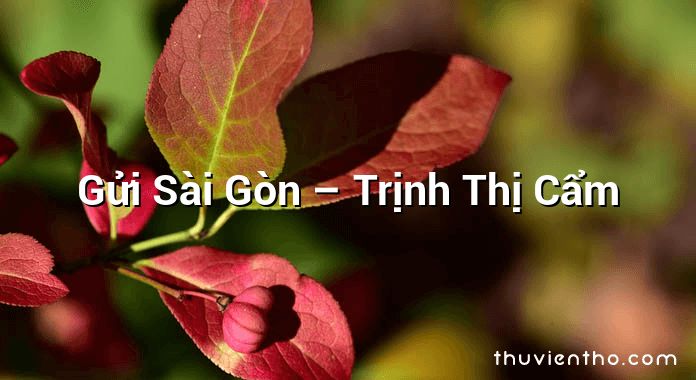 Gửi Sài Gòn – Trịnh Thị Cẩm