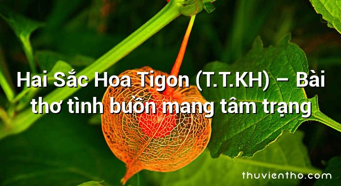 Hai Sắc Hoa Tigon (T.T.KH) – Bài thơ tình buồn mang tâm trạng