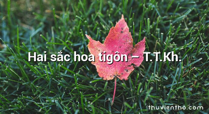 Bài thơ Hai sắc hoa ti gôn của tác giả T.TKH