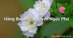 Hàng Buồm  –  Nguyễn Ngọc Phú