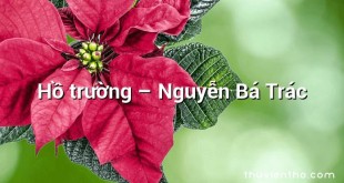 Hồ trường  –  Nguyễn Bá Trác