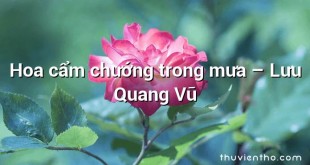Hoa cẩm chướng trong mưa  –  Lưu Quang Vũ