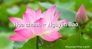Hoa chanh  –  Nguyễn Bao