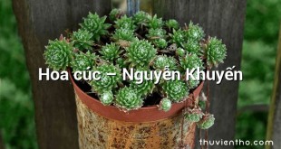 Hoa cúc – Nguyễn Khuyến