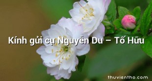 Kính gửi cụ Nguyễn Du – Tố Hữu