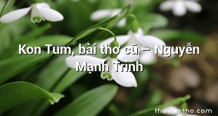 Kon Tum, bài thơ cũ  –  Nguyễn Mạnh Trinh