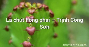 Là chút hồng phai – Trịnh Công Sơn