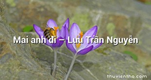 Mai anh đi  –  Lưu Trần Nguyễn