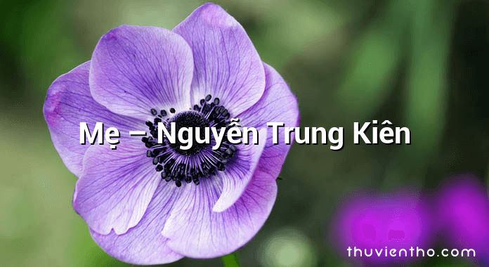 Mẹ – Nguyễn Trung Kiên