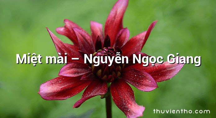 Miệt mài – Nguyễn Ngọc Giang