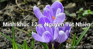 Minh khúc 12  –  Nguyễn Tất Nhiên