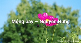 Mộng bay – Nguyễn Hưng