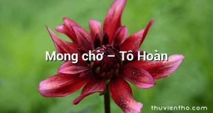 Mong chờ  –  Tô Hoàn