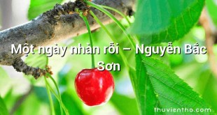 Một ngày nhàn rỗi  –  Nguyễn Bắc Sơn