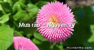 Mưa rào  –  Nguyễn Vỹ