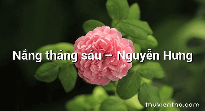 Nắng tháng sáu – Nguyễn Hưng
