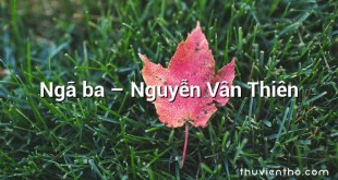 Ngã ba  –  Nguyễn Vân Thiên