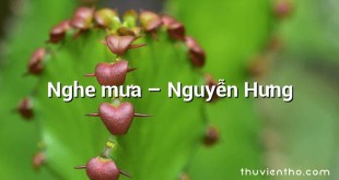 Nghe mưa – Nguyễn Hưng