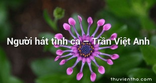 Người hát tình ca  –  Trần Việt Anh