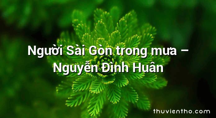 Người Sài Gòn trong mưa – Nguyễn Đình Huân