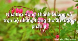 Nhà thơ Hồng Thanh Quang và trọn bộ những trang thơ ấn tượng phần 8