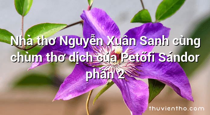 Nhà thơ Nguyễn Xuân Sanh cùng chùm thơ dịch của Petőfi Sándor phần 2