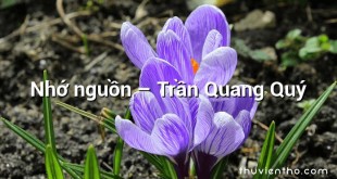 Nhớ nguồn  –  Trần Quang Quý