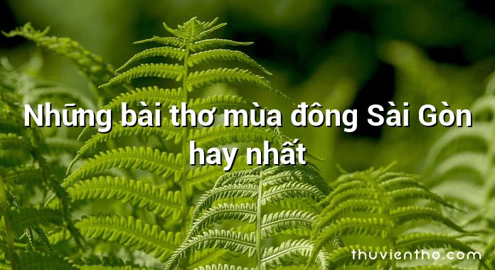 Những bài thơ mùa đông Sài Gòn hay nhất