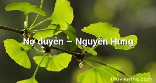 Nợ duyên – Nguyễn Hưng