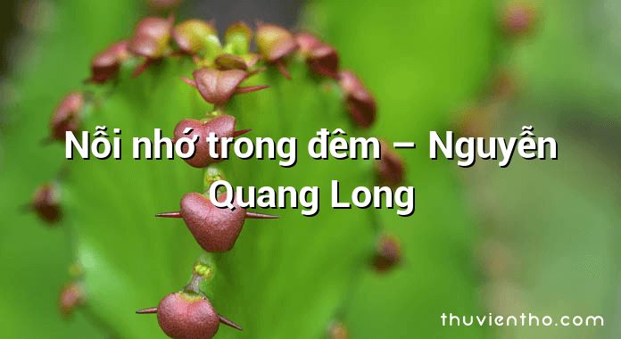 Nỗi nhớ trong đêm – Nguyễn Quang Long