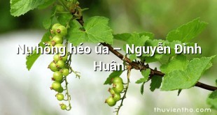 Nụ hồng héo úa – Nguyễn Đình Huân