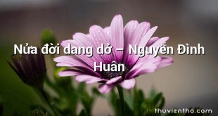 Nửa đời dang dở – Nguyễn Đình Huân