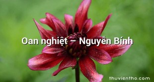 Oan nghiệt  –  Nguyễn Bính