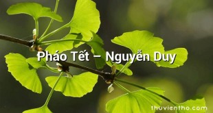 Pháo Tết  –  Nguyễn Duy