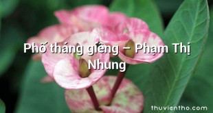 Phố tháng giêng  –  Phạm Thị Nhung