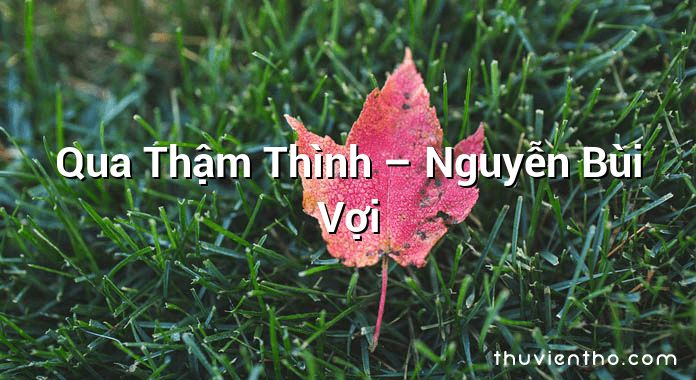 Qua Thậm Thình – Nguyễn Bùi Vợi
