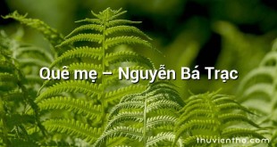 Quê mẹ  –  Nguyễn Bá Trạc