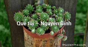 Quê tôi  –  Nguyễn Bính