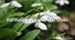 Rối nước  –  Nguyễn Việt Chiến