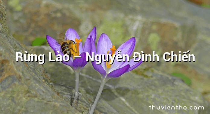 Rừng Lào  –  Nguyễn Đình Chiến