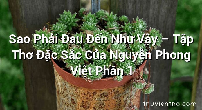 Sao Phải Đau Đến Như Vậy – Tập Thơ Đặc Sắc Của Nguyễn Phong Việt Phần 1