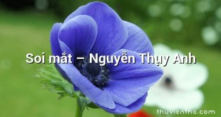 Soi mắt  –  Nguyễn Thụy Anh